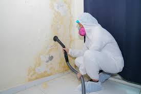  Bonneau Beach, SC Mold Remediation Pros